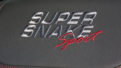 shelby f150 super snake (12)