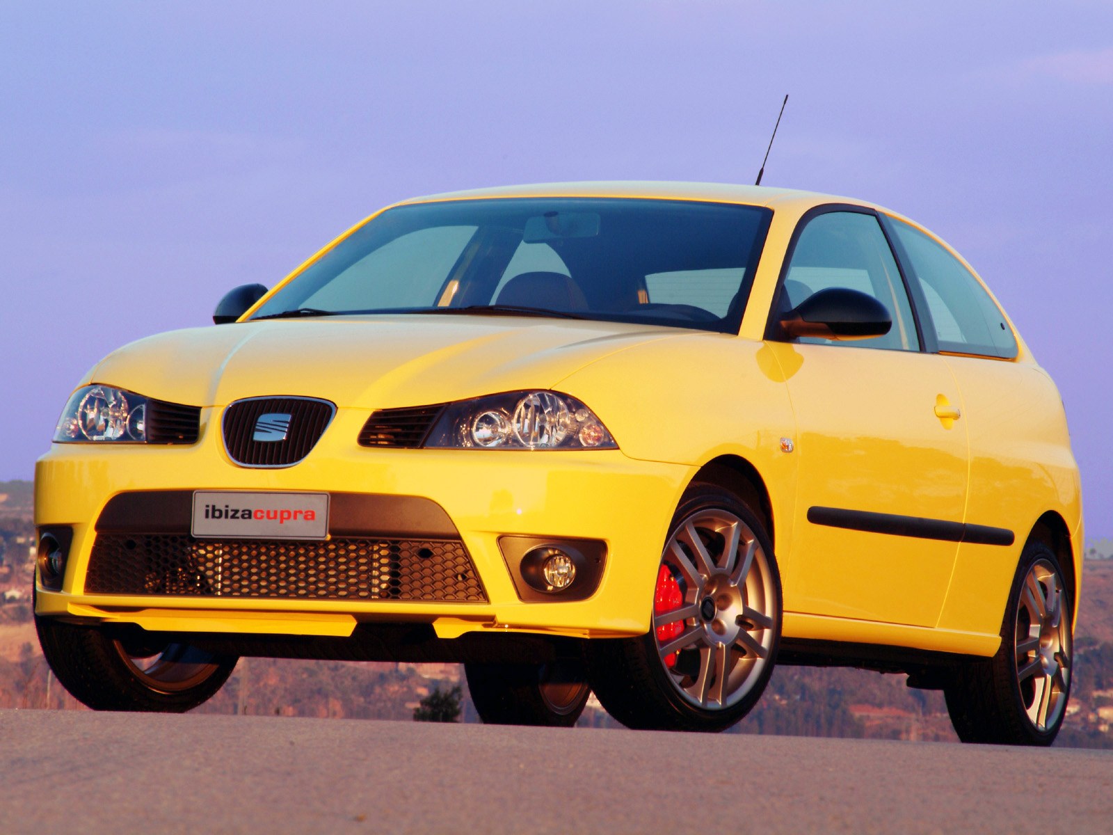 Coche del día: SEAT Ibiza Cupra 1.8T 20v