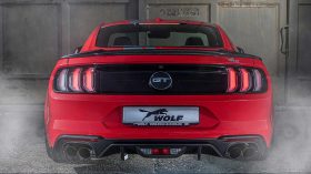 wolf racing ford mustang edition one of 7 (4)