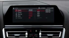 BMW Serie 8 Gran Coupe 2020 Interior (22)