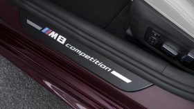 BMW Serie 8 Gran Coupe 2020 Interior (5)