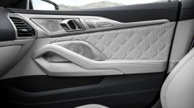 BMW Serie 8 Gran Coupe 2020 Interior (9)