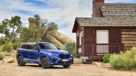 BMW X5 M 2020 (30)