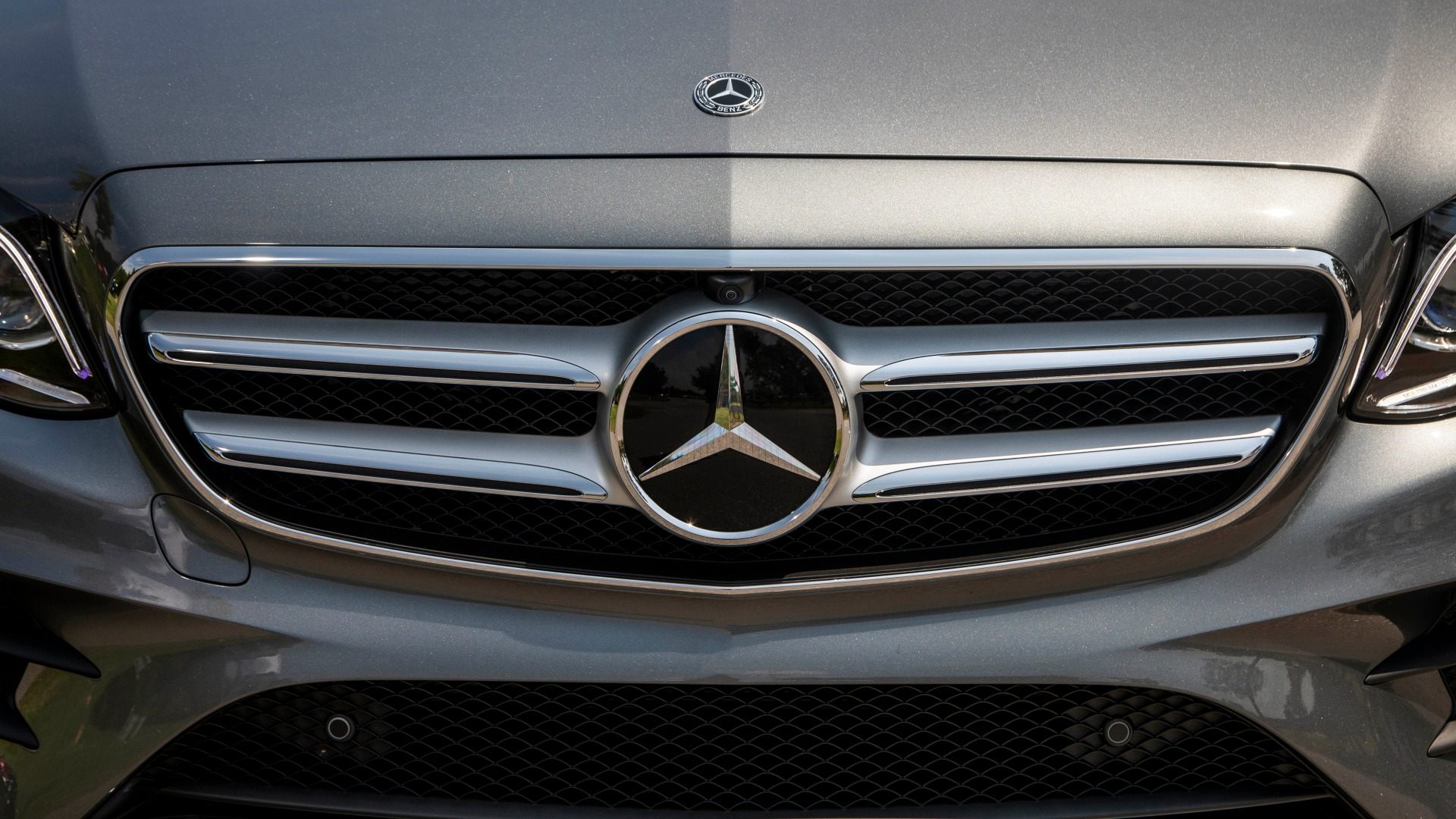900 vehículos de Mercedes-Benz en cuarentena por culpa de un caracol