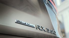 2021 Lexus RX Sport Edition (4)