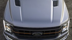 2021 Ford F 150 Tremor (19)