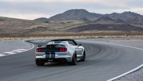 2021 Ford Mustang Shelby Super Snake Speedster (11)