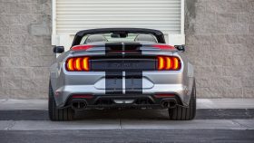 2021 Ford Mustang Shelby Super Snake Speedster (15)