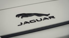 Jaguar F Type P450 2022 (63)