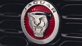 Jaguar F Type P450 2022 (64)