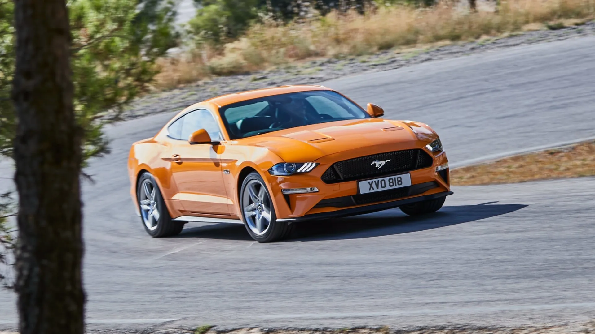 El nuevo Ford Mustang podría presentarse en septiembre
