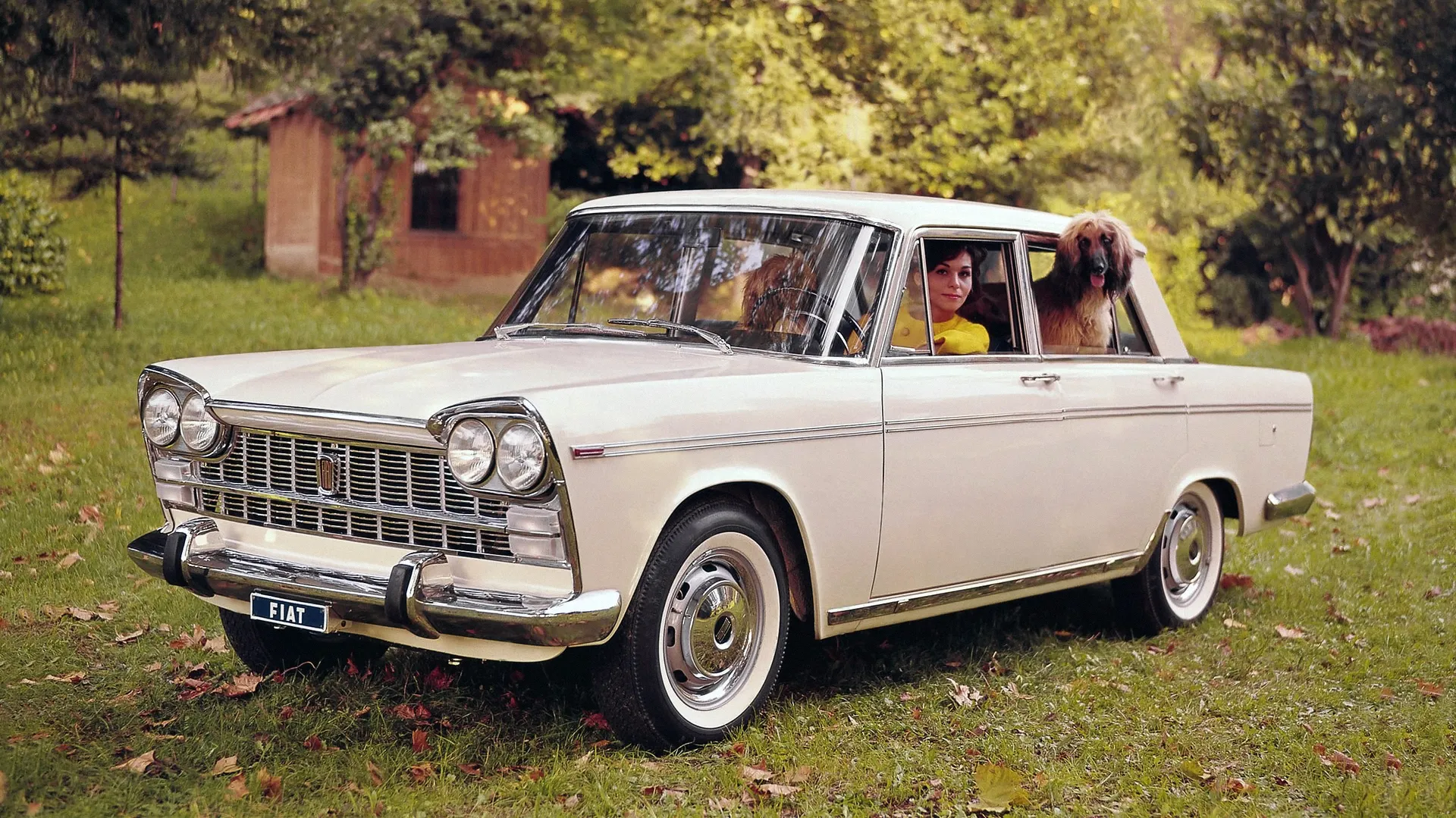 Coche del día: FIAT 2300 Lusso