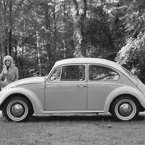 Volkswagen (1)