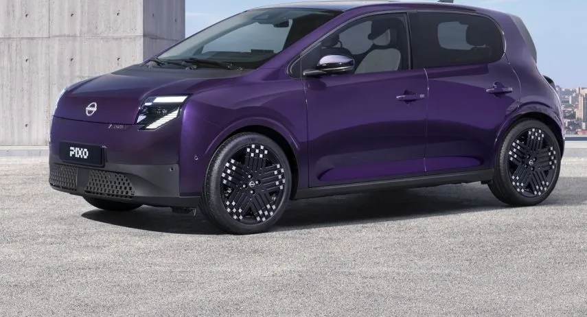 Nissan Pixo (1)